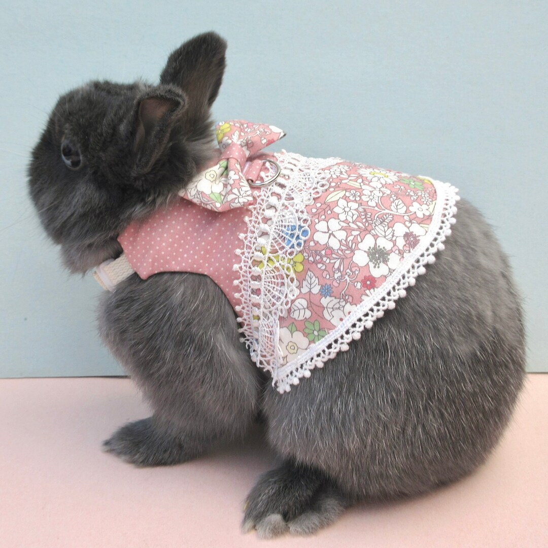 Pink Little Flora, Pet Bunny Dress/harness, Rabbit Clothing, Dwarf Holland Lop, Chinchilla Small