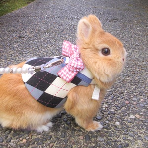 Ready for school short dress,Bunny Harness/Vest, Small Pet Rabbit Harness, Rabbit harness, Clothing Dress, Chinchilla Guinea Pig