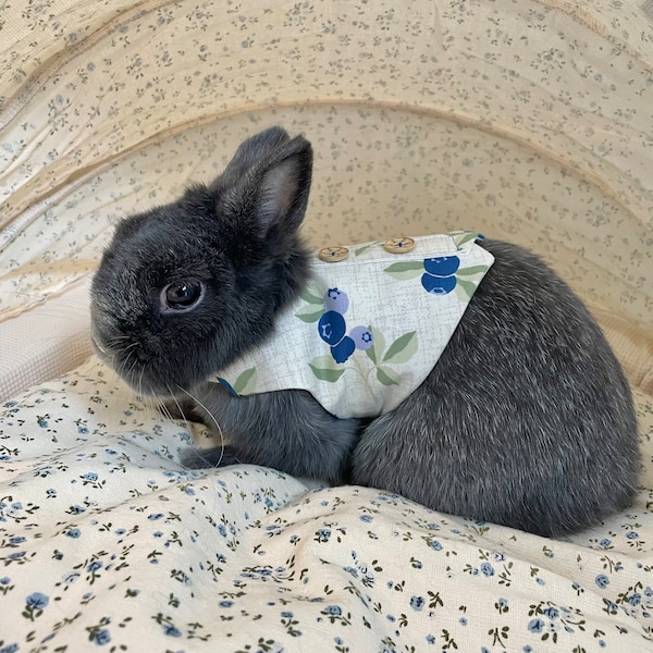 Pet Rabbit Clothing Etsy
