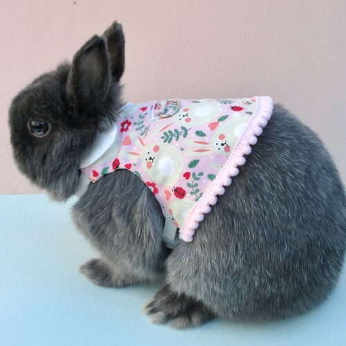 Pink Little Flora Pet Bunny Dress/harness Rabbit Clothing Etsy