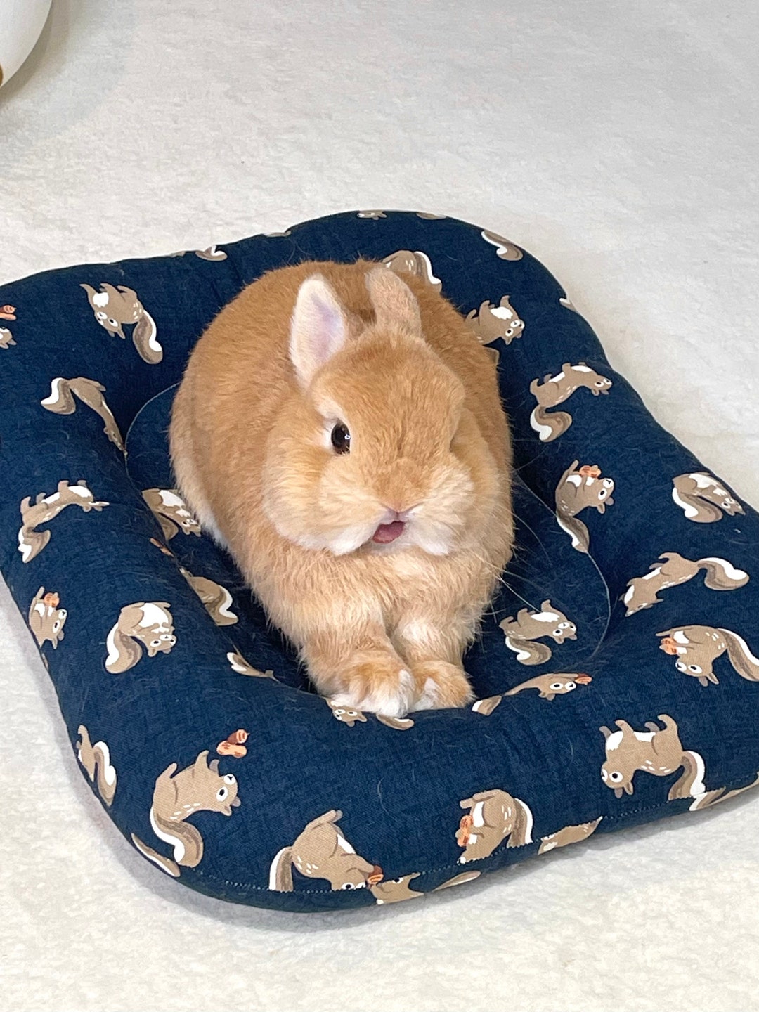 Squirrel Eggie Bunny Bed Soft Fluffy Pet Mat Small Pet Etsy