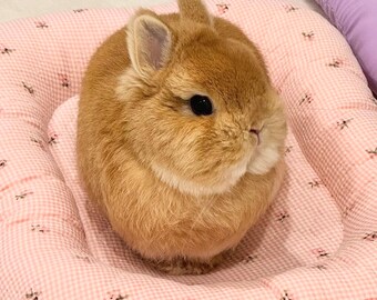 Pink Flower Eggie bunny Bed, Soft Fluffy Pet Mat, Small Pet Rabbit Bed