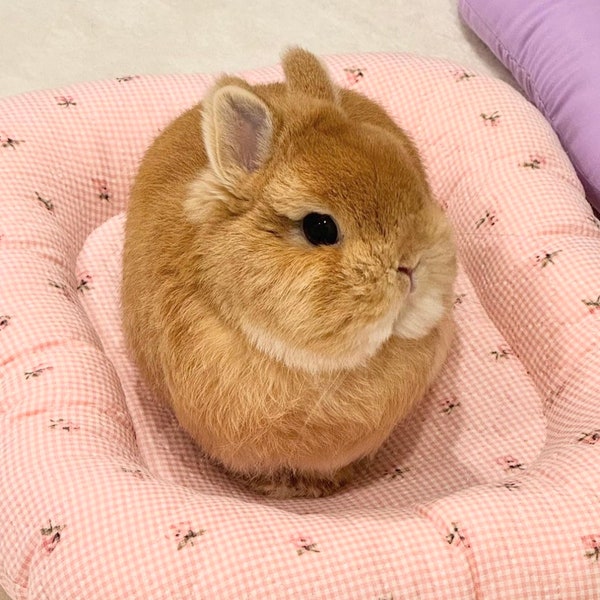 Pink Flower Eggie bunny Bed, Soft Fluffy Pet Mat, Small Pet Rabbit Bed