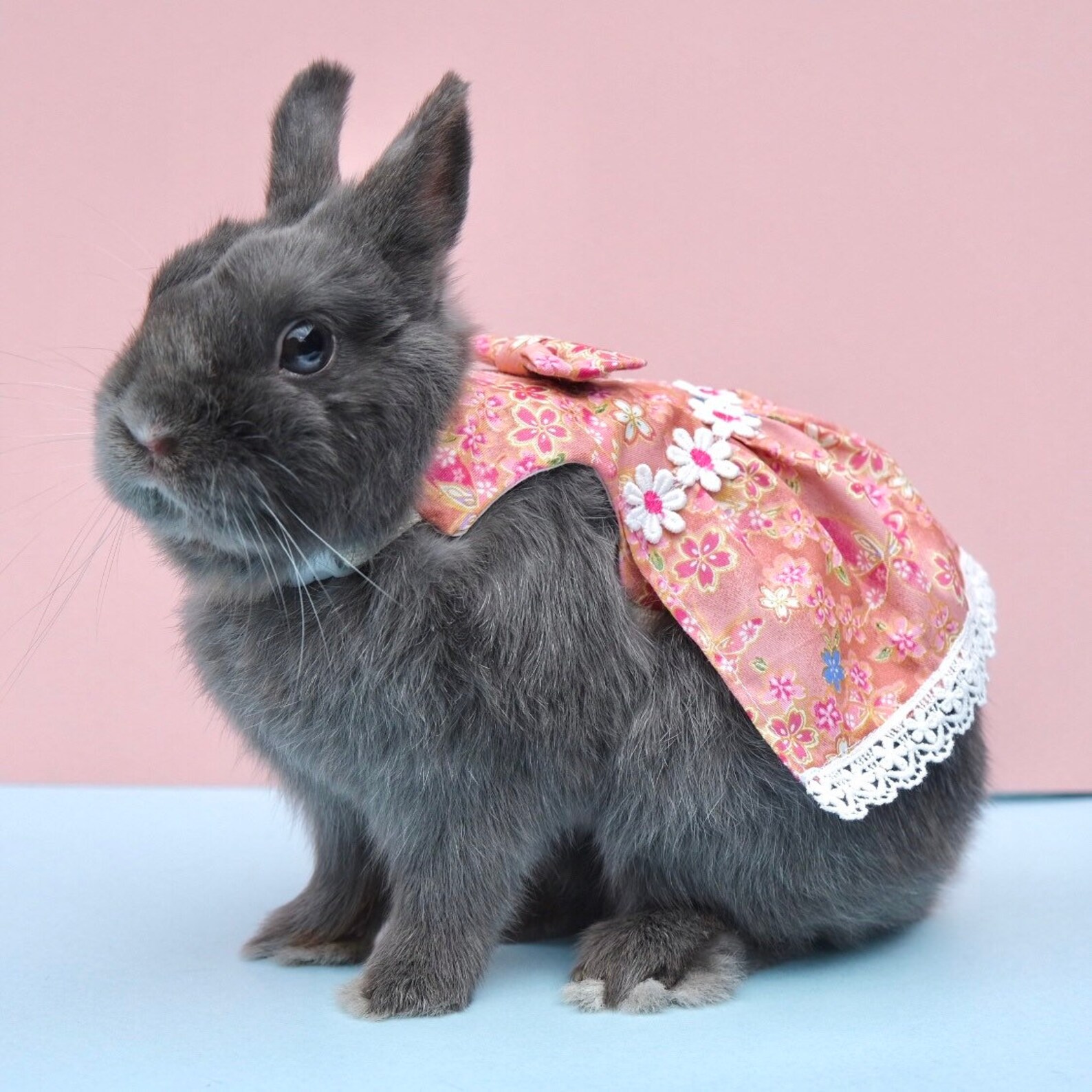 Flora Bunny Dress Small Pet Clothing Pet Rabbit Harness Etsy