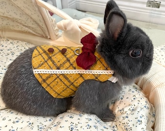 Robe courte automne en laine ginkgo, robe/harnais de lapin pour animal de compagnie, harnais pour vêtements de lapin, lapin nain hollandais
