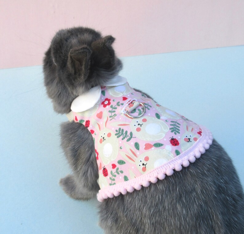 Easter Bunny Pink Bunny Pet Bunny Dress/harness Rabbit Etsy