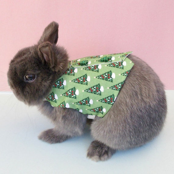 Small rabbit on sale harness