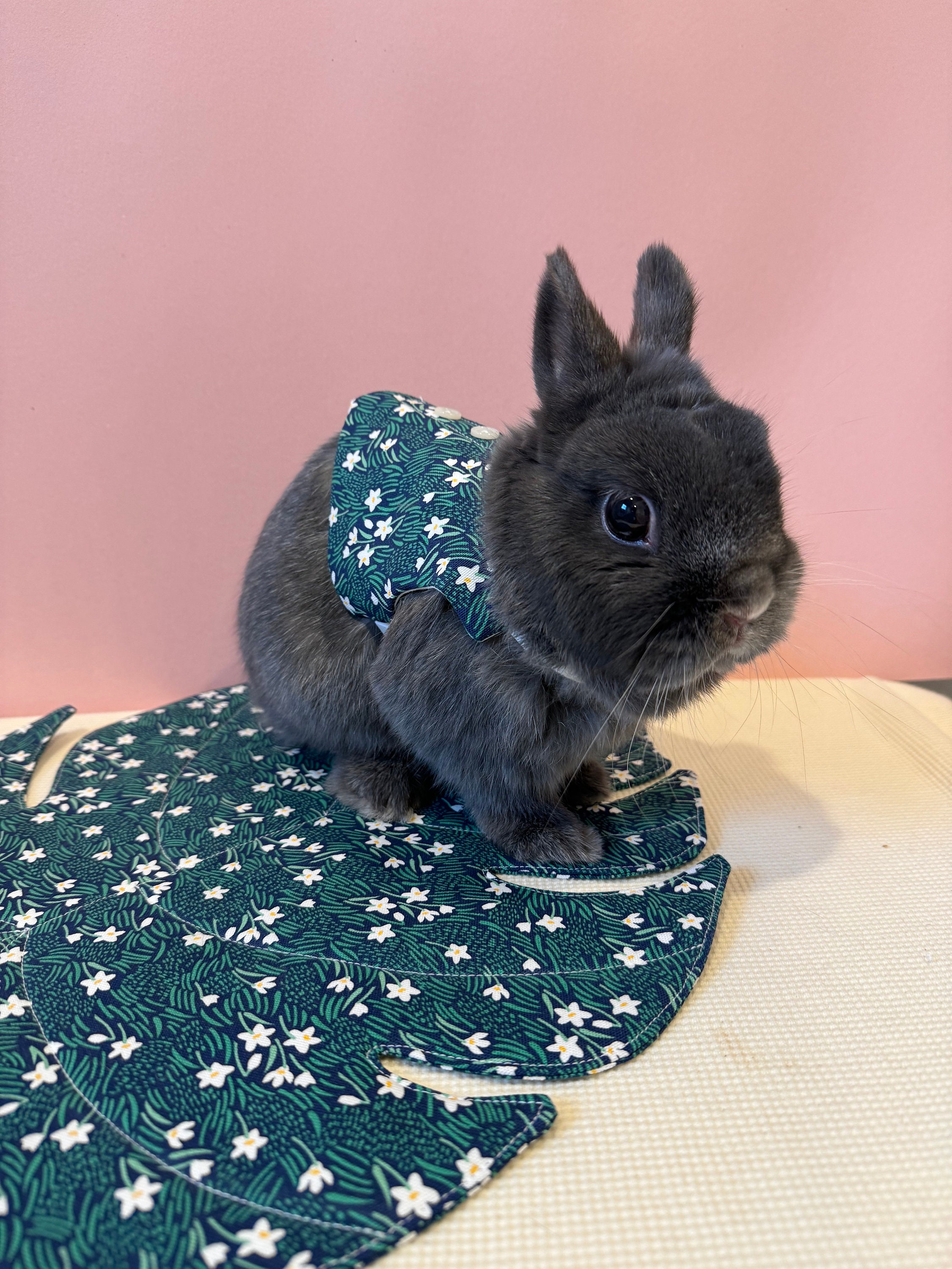 Baby bunny harness 2025