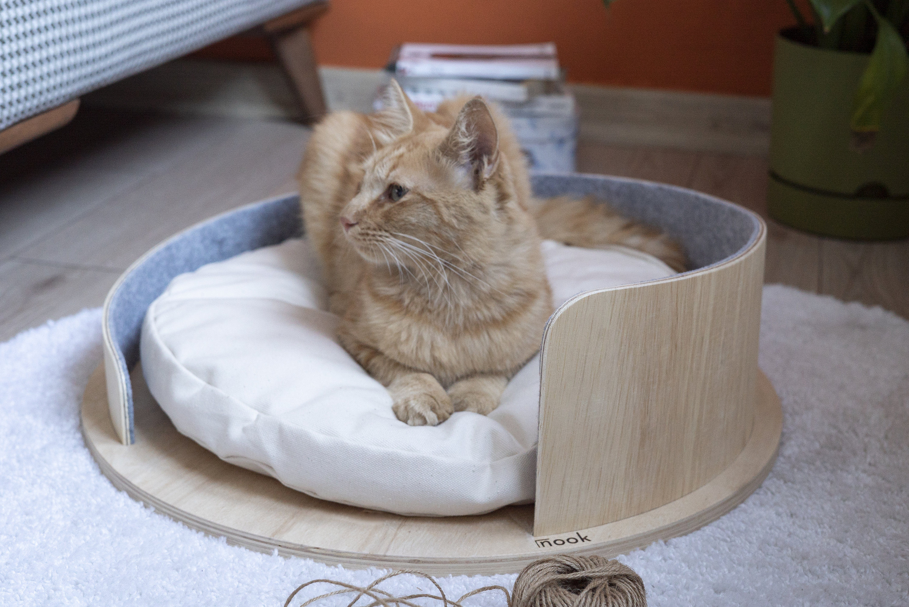 Lit Pour Chat et Chien - Siège Couvert Lit Minimaliste en Bois Grotte Chat