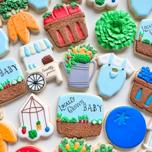 lokaal geteelde babykoekjes / lokaal geteelde babyshowerkoekjes / boerenmarktkoekjes / 1 dozijn