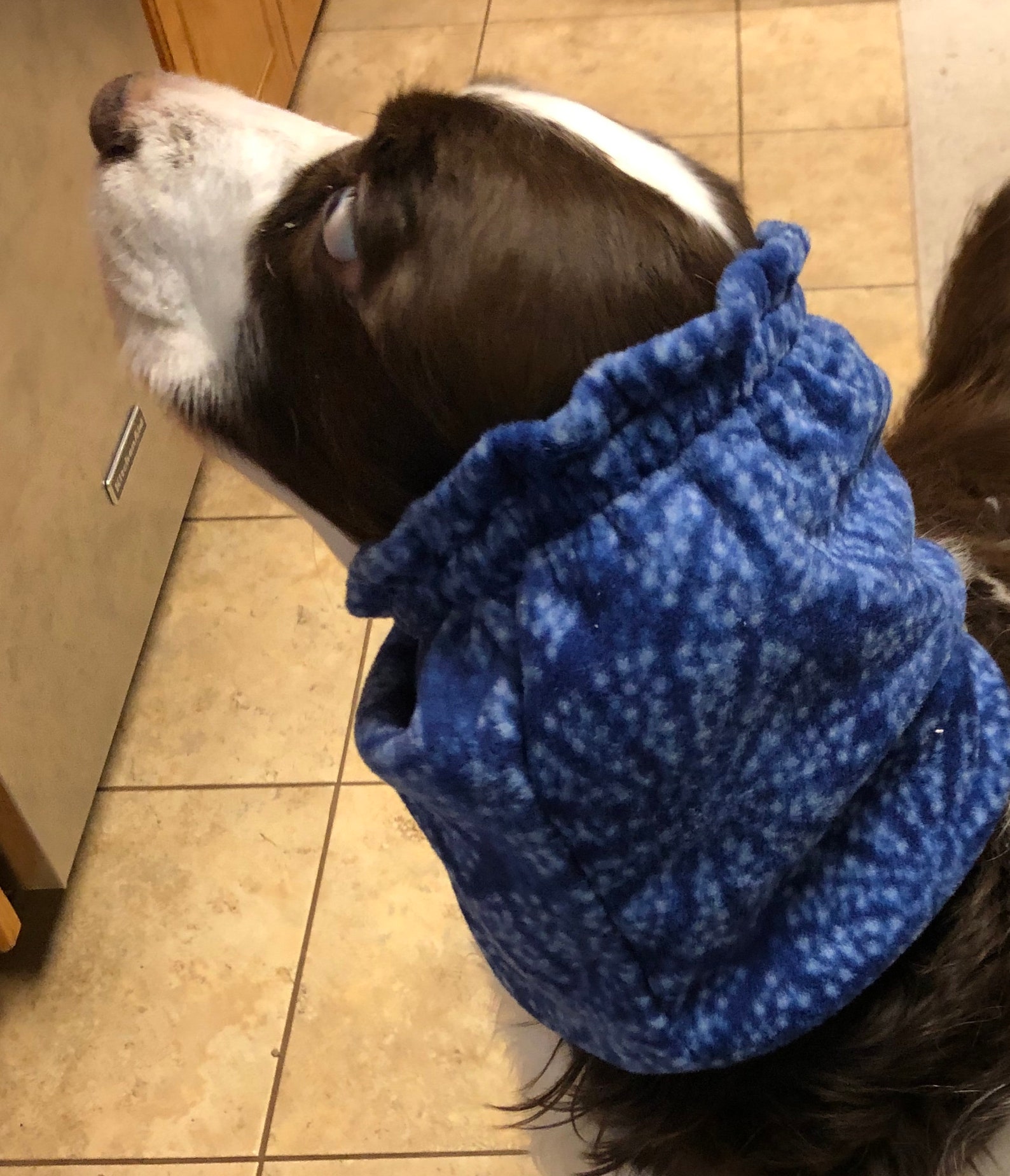 Fleece Dog Snood Ear Protector Snood for LongEared Dog Etsy