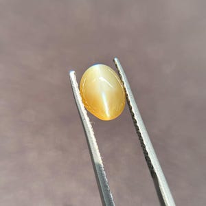 2.23 Carats Natural Chrysoberyl Cat&#39;s Eye Oval Gemstone , Chrysoberyl Cat&#39;s Eye Oval , Unique Cat Eye