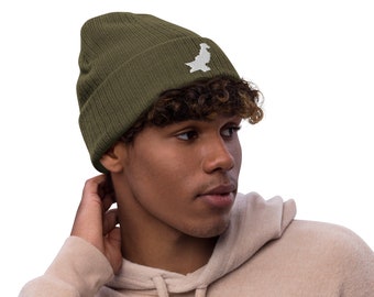 Pakistan Map Ribbed knit beanie