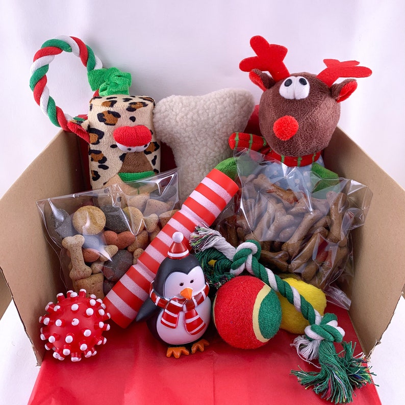 Christmas Dog Box Dog Christmas Gift Box Toys Dog Christmas | Etsy