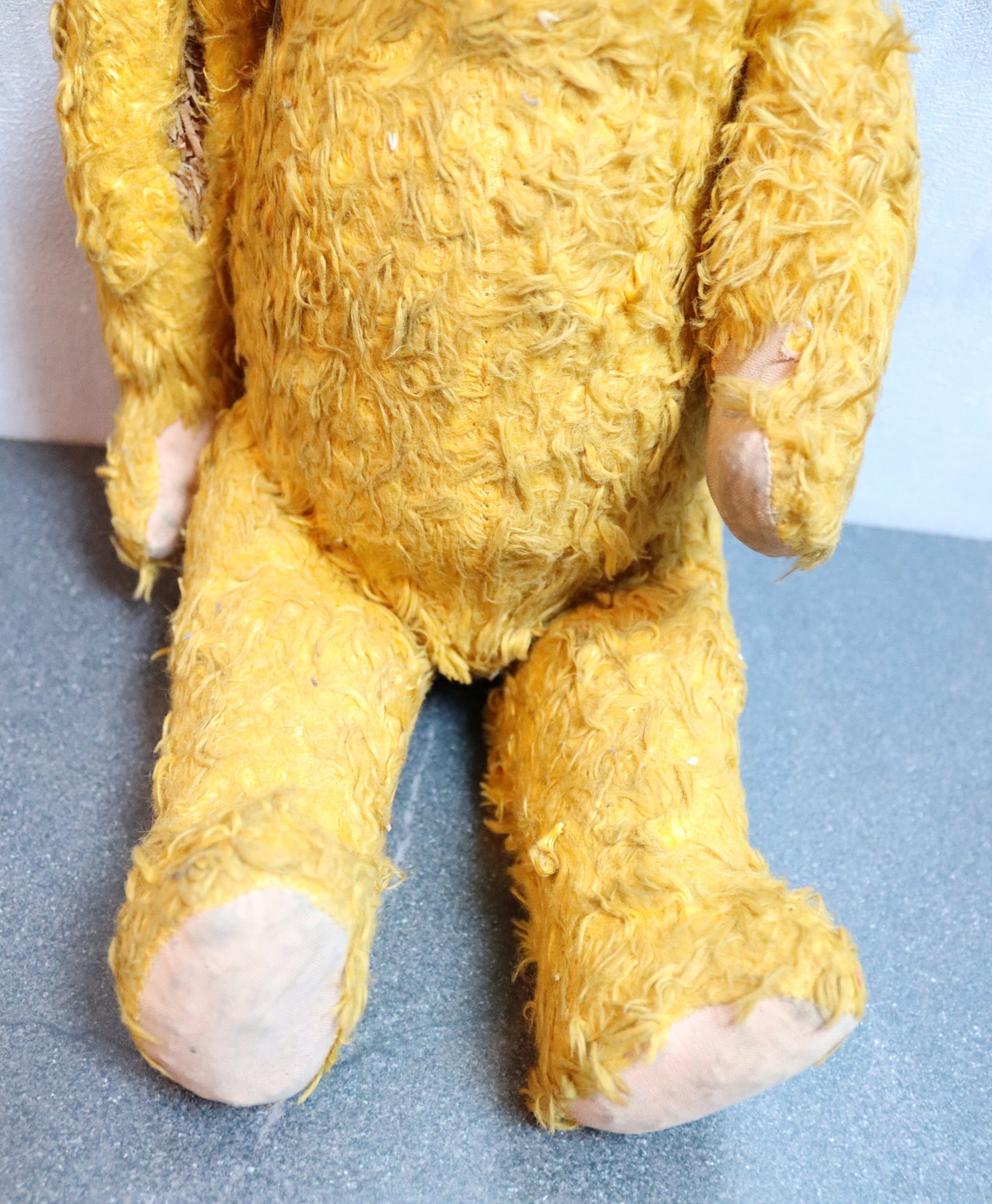 Ours ancien nounours teddy bear - Collection