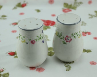 Vintage English Garden porcelain salt and pepper shakers, old decorated salt and pepper shakers, condiment holder, table decoration