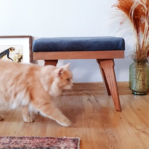 May include: A light brown wooden bench with a dark blue upholstered seat. The bench has four legs and a simple design. A ginger cat walks in front of the bench.