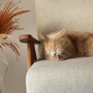 beige vintage armchair