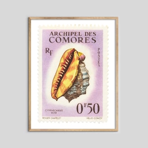 May include: A vintage postage stamp from the Comoros Islands featuring a colorful seashell with the text "ARCHIPEL DES COMORES" and "0.50 F".