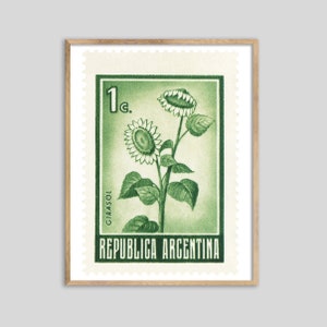 Argentinien Sonnenblume Stempel Druck