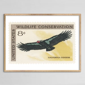 USA Condor Stamp Print