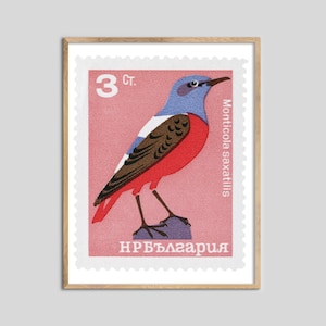 Bulgarien Rock thrush Stempel Druck
