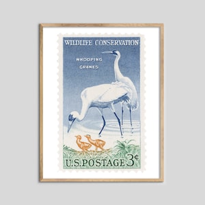 USA Whooping Kraniche Stempel Druck