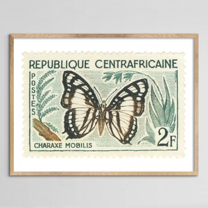 Republique Centrafricaine Charaxe Mobilis Butterfly Stamp Print