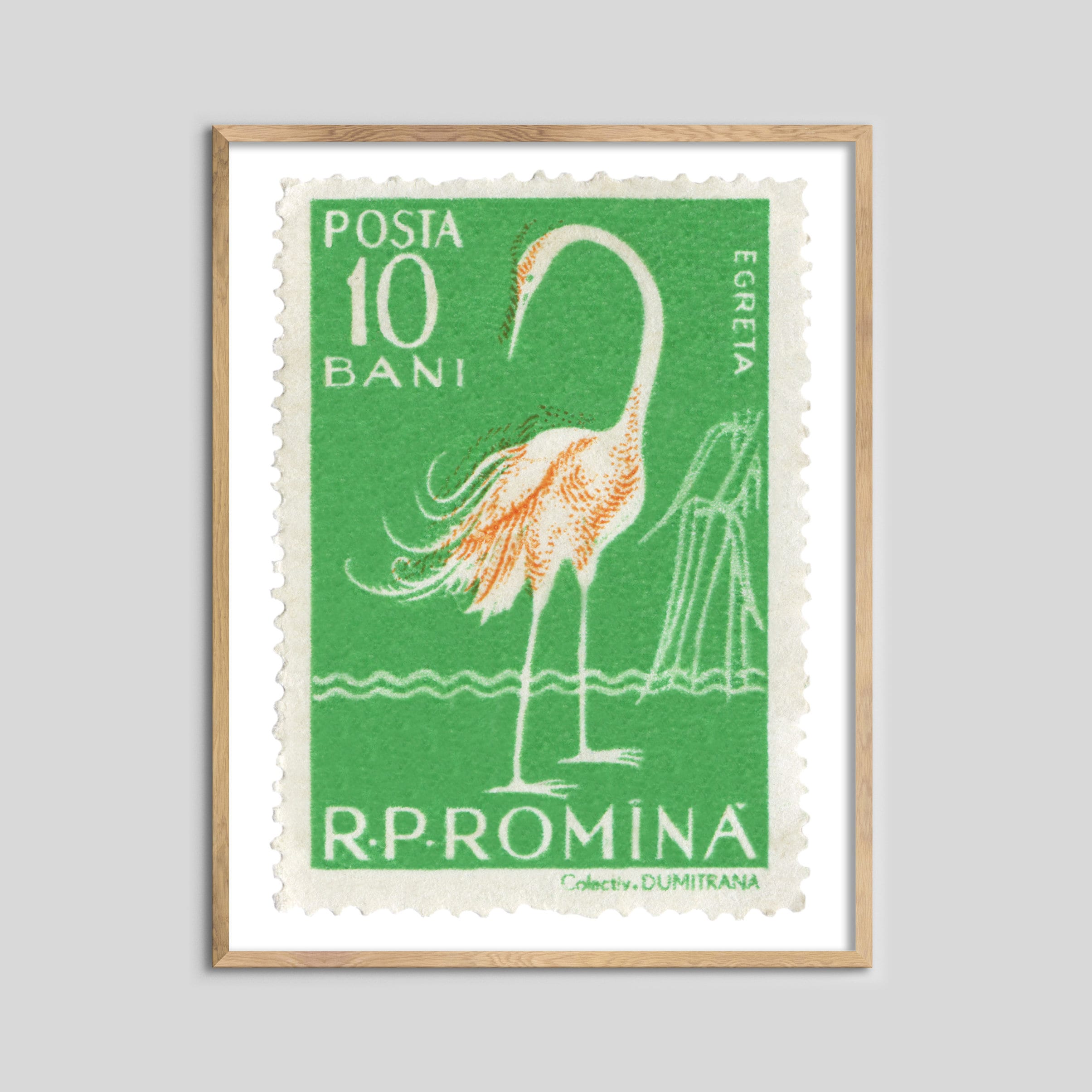 Romania Egret Stamp Print