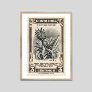 Costa Rica Ananas Stempelbild