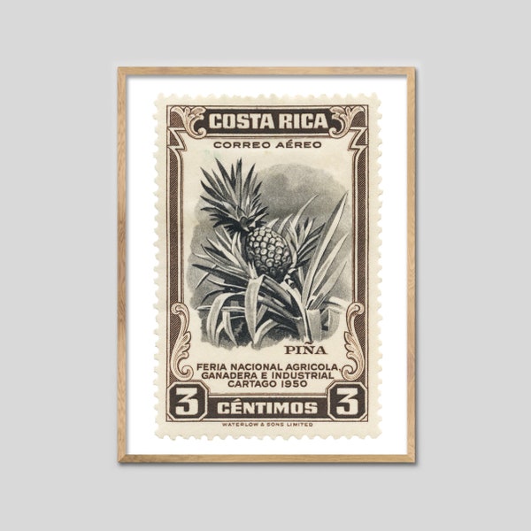 Costa Rica Ananas Stempel Kunstdruck