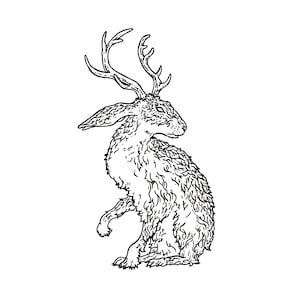 Mo  Jackalope Tattoo