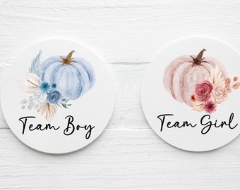 24pcs Gender Reveal decorazioni per feste Team Boy Team Girl Button Pin o Wedding Racing Theme Party Supplies Pink Blue Badge 4.5cm  15