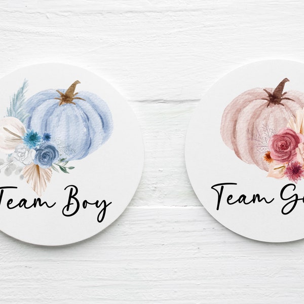 Team Boy and Team Girl Bear Themed Gender Reveal Stickers, Digital Print at Home Gender Reveal Stickers, Guess the Gender