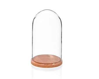 Small Glass Display Cover Dome Cloche With Natural Beech Base Height 27.5cm
