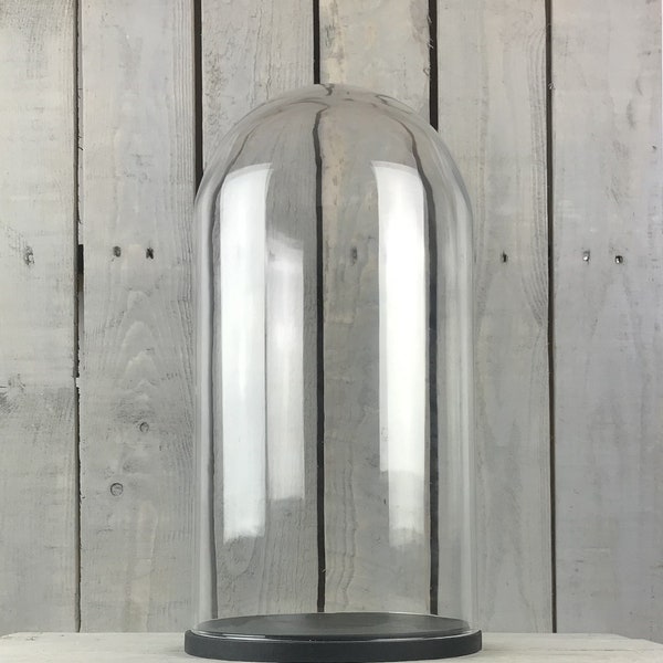 Grand présentoir de cloche en verre de couverture de dôme avec la taille de base en bois noire 41,5 x 21 cm