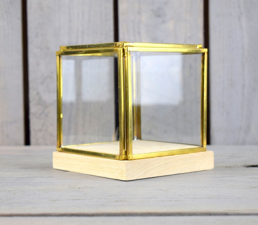 Small Glass and Brass Display Showcase Box Dome With Wooden Base Etsy UK