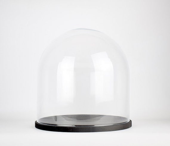 Cúpula de cristal circular transparente soplado a mano hecha a mano con  base de madera negra 31,5 cm -  España
