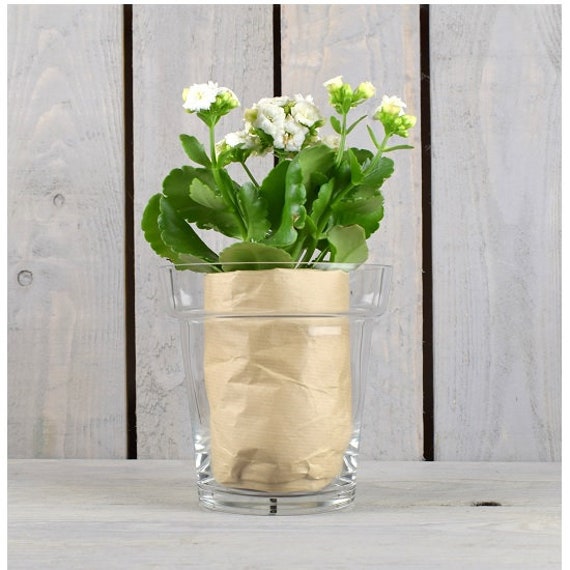 Glass Clear Flower Pot / Orchid Pot / Plant Container 15 Cm Etsy UK