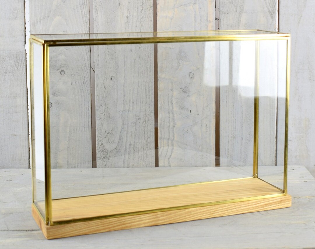 Large Glass and Brass Display Showcase Box Dome With Wooden Base Tall 28.5 Cm Etsy UK