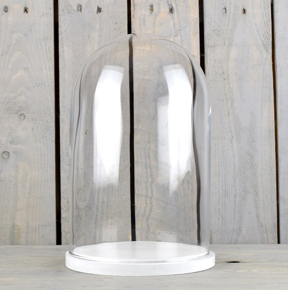 Plastic Dome Display 10in Tall Case With White Base Large for sale online