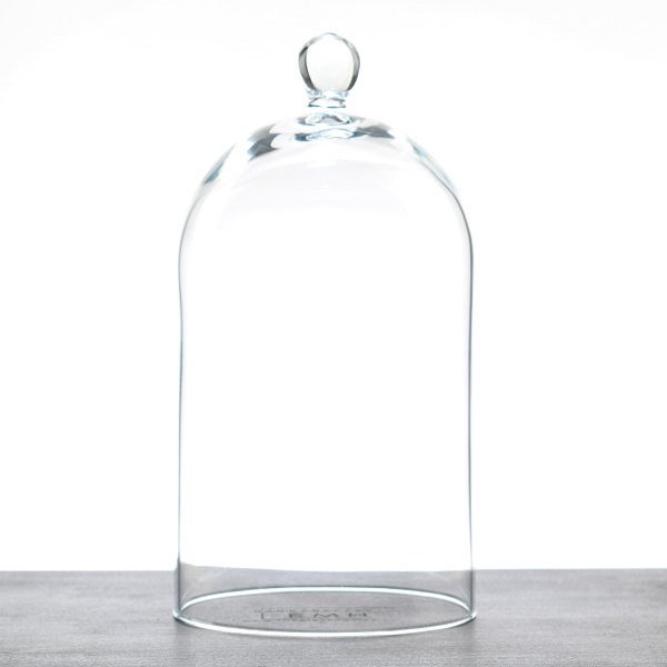 Glaskuppel Display Cloche mit Knopf H24 cm x T12,5 cm