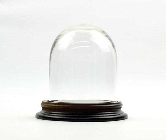 Figura Decorativa Marrón Transparente Cúpula Cristal Madera (12,5 x 15,5 x  12,5 cm)
