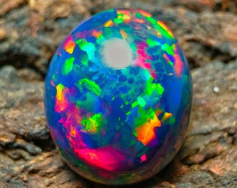 May include: A vibrant, iridescent black opal cabochon with a blue, green, and pink play of colour. The opal is set against a dark brown, textured background.