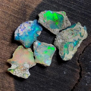 May include: Five raw opal gemstones with vibrant colors of blue, green, and orange. The opals have a rough, natural texture and are set against a dark, textured background. The gemstones vary in size and shape.