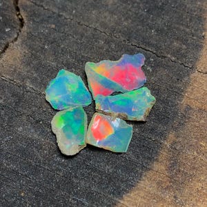 May include: Five pieces of iridescent opal, with a rainbow of colours, on a dark brown wooden surface.