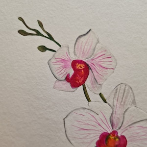 Original Watercolor (Minimal Orchidee)