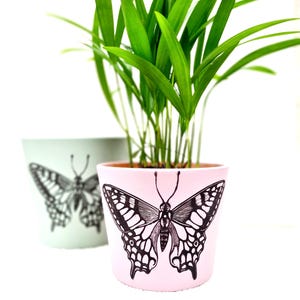 Peut inclure: Deux pots de fleurs avec des motifs de papillons. Le pot de gauche est vert clair avec un papillon noir. Le pot de droite est rose avec un papillon noir.