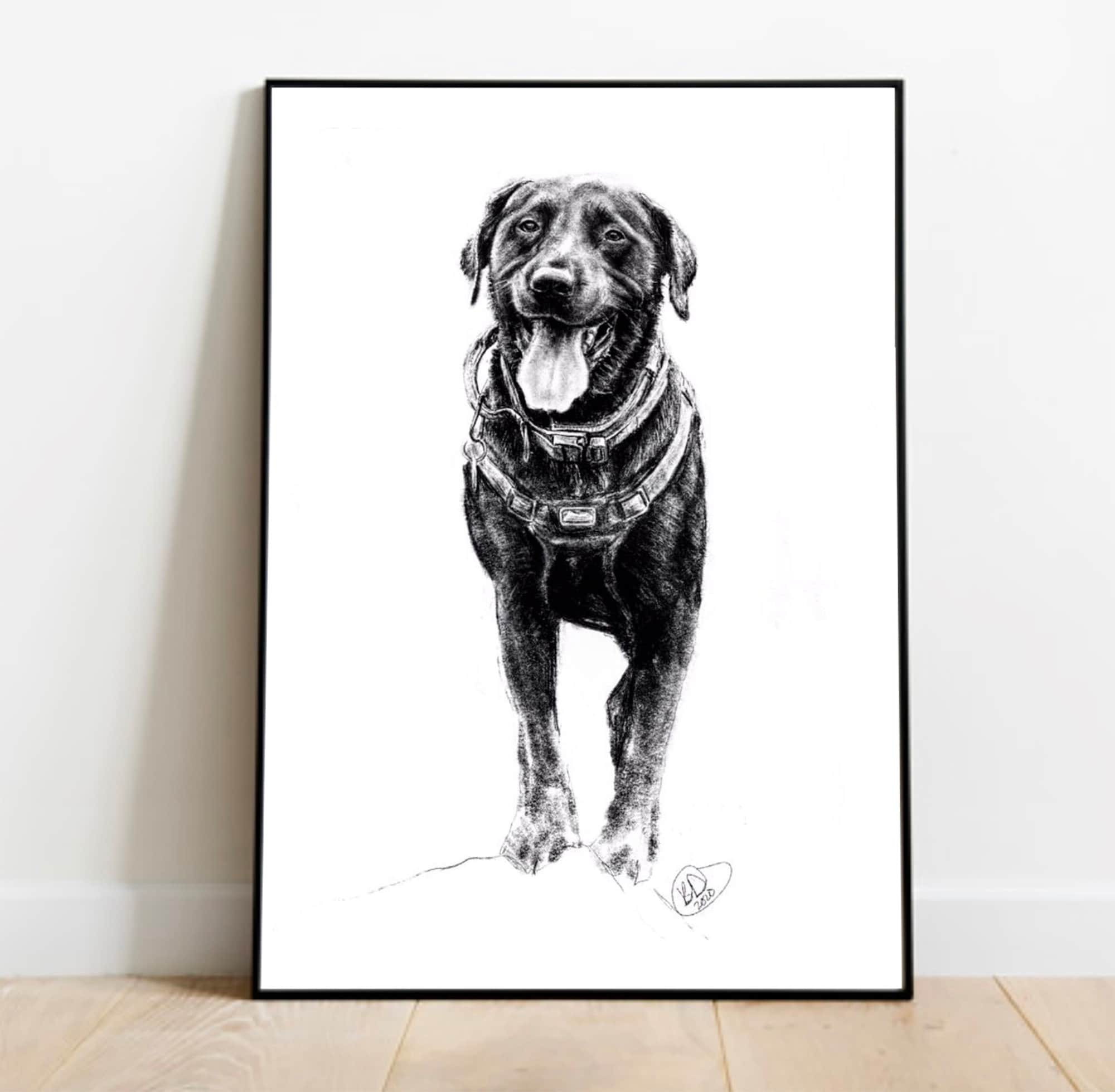 Custom Pet Portraits Etsy