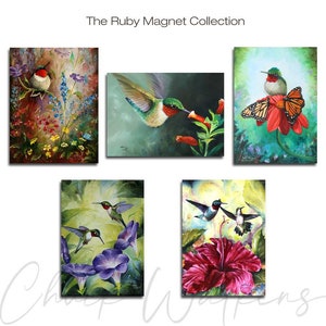 Ruby-throated Hummingbird Magnet Set, refrigerator magnets, five magnet set.